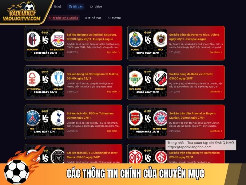 Các thông tin chính của chuyên mục