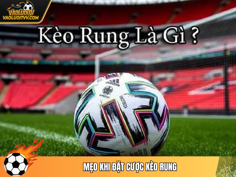 Mẹo khi đặt cược kèo rung