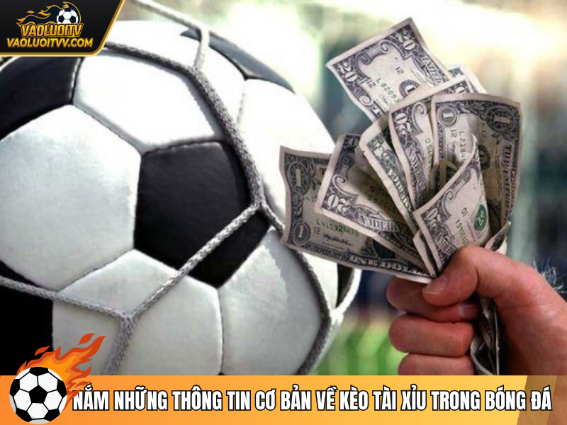 Nắm những thông tin cơ bản về kèo tài xỉu trong bóng đá